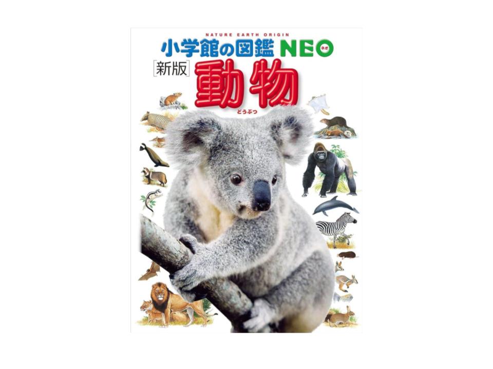 図鑑・事典